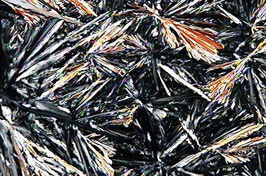 Candelilla Wax Organogelation