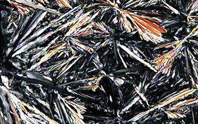 Organogelificación de Cera de Candelilla