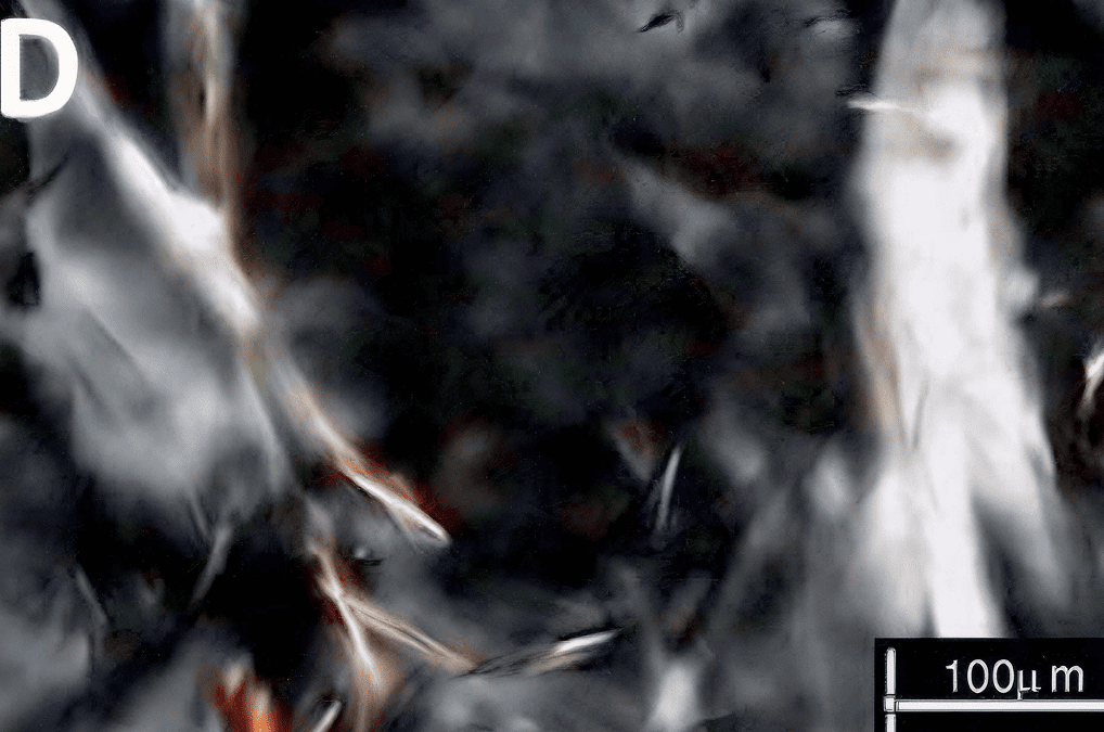 Rheological Properties